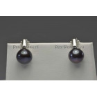 Parel oorclips AAA zwarte zoetwaterparels ca 10mm, zilver 925