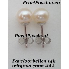 Witgouden pareloorstekers 14k 585 4mm kap met parels 7mm  y- Witgouden pareloorstekers 14k 585 4mm kap met parels 7mm  y-