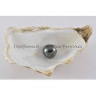 Zwarte parel Tahiti zoutwater groot 13mm barok  prachtige diep zwarte kleur y