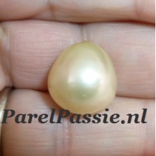 Zuidzee Australische zoutwaterparel 13x15 mm champagne druppel koopje y. 