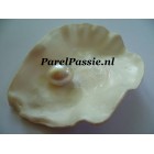 Parel in oester AAA 14mm zoetwaterparel 30 jaar getrouwd trofee