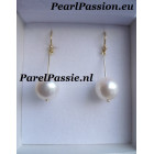 Lange pareloorbellen grote AAA ronde parels 11.5mm goud 14k y