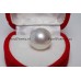 Zuidzee zoutwater pareloorbellen witgoud JKa 14k 585 echte 13 mm x14mm  y-