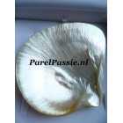 Zuidzee Parel oester schelp ca.12cm 30 jaar getrouwd of trofee hanger 