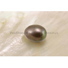 Shell imitatie parel tahitizwarte 12 x 17 mm y
