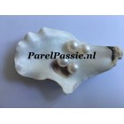Parel ronde los wit ca. 9mm prijs per stuk half geboord AAA zoetwater  y