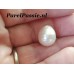 Zuidzee parel echte zoutwater oceaan parel uit oester grote 11.8 x  14mm geheel geboord  y