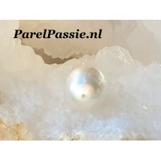 Zuidzee parel echte zoutwater oceaan parel uit oester grote 11.8 x  14mm geheel geboord  y