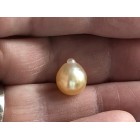 Echte Zuidzee zoutwater parel licht goud champagne druppel 9mm x 11mm niet geboord y