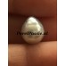 Zuidzee parel wit 11x12mm  zoutwater niet geboord kan als optie y