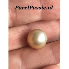 Gouden Zuidzee zoutwaterparel zonder coller ca. 11mm a 12mm geboord  y
