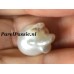 Zuidzee zoutwaterparel 12 x 18 mm barok   y