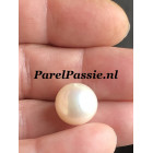 Echte Zuidzee zoutwater parel room licht champagne rond 13mm niet geboord