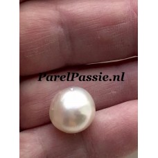 Echte Zuidzee zoutwaterparel  wit 12,2mm x 12,9 mm semi-rond  y.