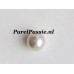 Echte Zuidzee zoutwaterparel  wit 12,2mm x 12,9 mm semi-rond  y.