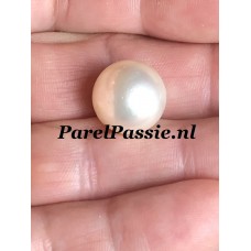 Echte Zuidzee zoutwater parel roomwitte bijna ronde 13mm y+