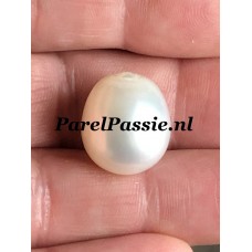 Echte Zuidzee zoutwater parel witte semi-druppel 14mm x 16,5mm 