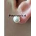 Pareloorbellen Akoya 14k  gouden 7-7,5mm AAA oorknoppen  y-