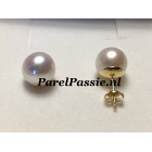 Pareloorbellen gouden stekers echte ronde parels ca. 9mm AAA 585 14k y