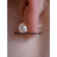Pareloorbellen geel gouden rond AAA 8.5-9mm 14k stekers  y-