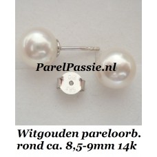 Witgouden * Pareloorbellen AAA top luster 8.5-9mm 14k JKa  y