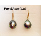 Tahiti pareloorbellen pauw AAA 10mm x 12.6mm gouden 18k  y
