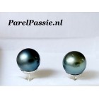 Tahiti zoutwaterparel oorstekers grijs met blauw groen tone 11 mm ronde y