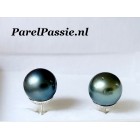 Tahiti zoutwaterparel oorstekers grijs met blauw groen tone 11mm ..