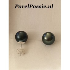 Tahiti pareloorbellen zwarte ronde zoutwaterparels ca. 10.5 mm oorstekers zilveren  y
