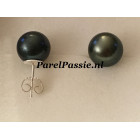 Zwarte parel Tahiti oorbellen zoutwater oorstekers 11mm zilver 925 ,,