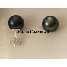 Zwarte parel Tahiti oorbellen zoutwater oorstekers 11mm zilver 925 ..