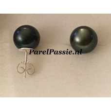 Zwarte parel Tahiti oorbellen zoutwater oorstekers 11 mm zilver 925 y