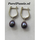 Pareloorbellen zwart pauw zoetwaterparels ca. 7  x 9 mm  y