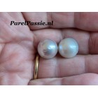 Zuidzee pareloorbellen grijze barok rond grote 12 mm parel nog ongeboord ook los te koop y0