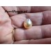 Zuidzee parels losse druppel 9mm 10mm -11mm goud champagne kleur per stuk y0 Zuidzee parels losse druppel 9mm 10mm -11mm goud champagne kleur per stuk y0