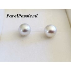 Zuidzee parels paar half geboord wit iets zilver tint ca. 9.6 x 9.9mm zoutwater voor pareloorbellen y- Zuidzee parels paar half geboord wit iets zilver tint ca. 9.6 x 9.9mm zoutwater voor pareloorbellen y-