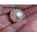 Zuidzee parel zoutwater zeer grote 14,5mm zoutwater half geboord  y-