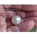 Zuidzee parel zoutwater zeer grote 14,5mm zoutwater half geboord  y-