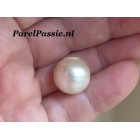 Zuidzee parel zoutwater zeer grote 14,5mm zoutwater half geboord  y-