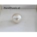 Zuidzee parel zoutwater zeer grote 14,5mm zoutwater half geboord  y-
